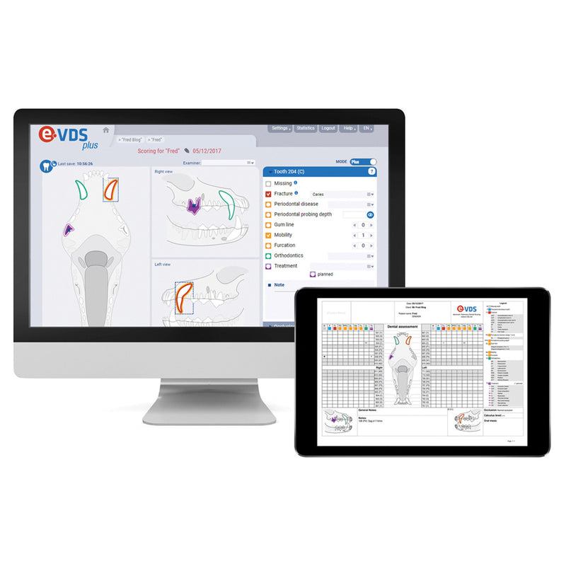 e-VDS Plus - Dental Charting System