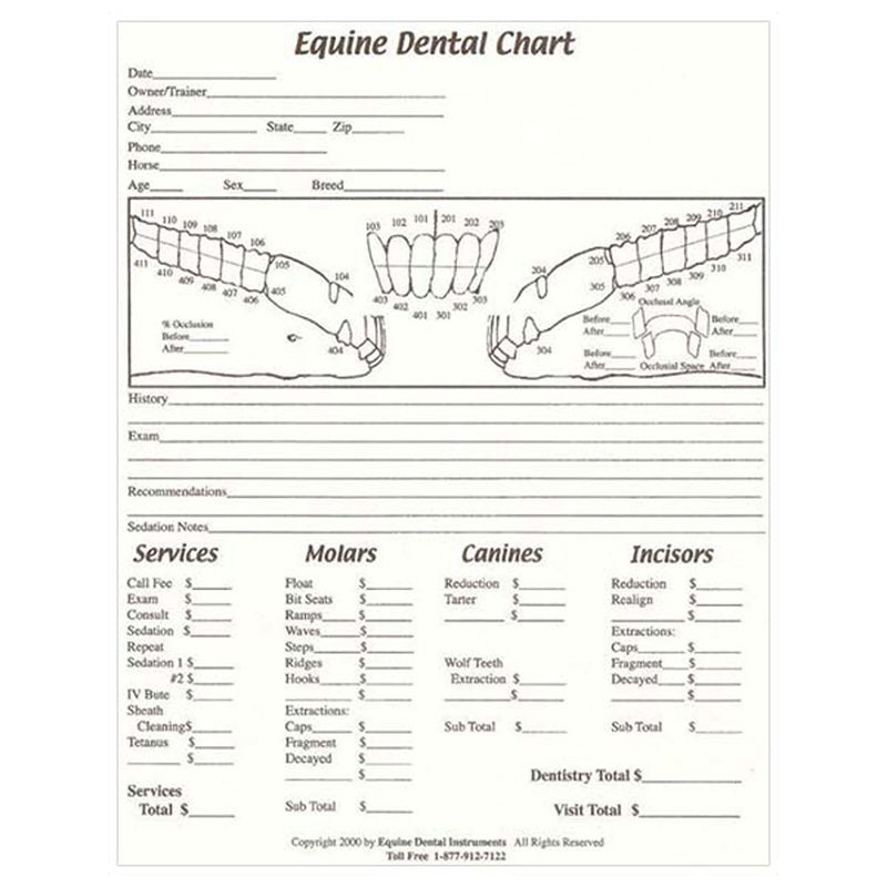 Equine Dental Chart ( Pack of 50 )