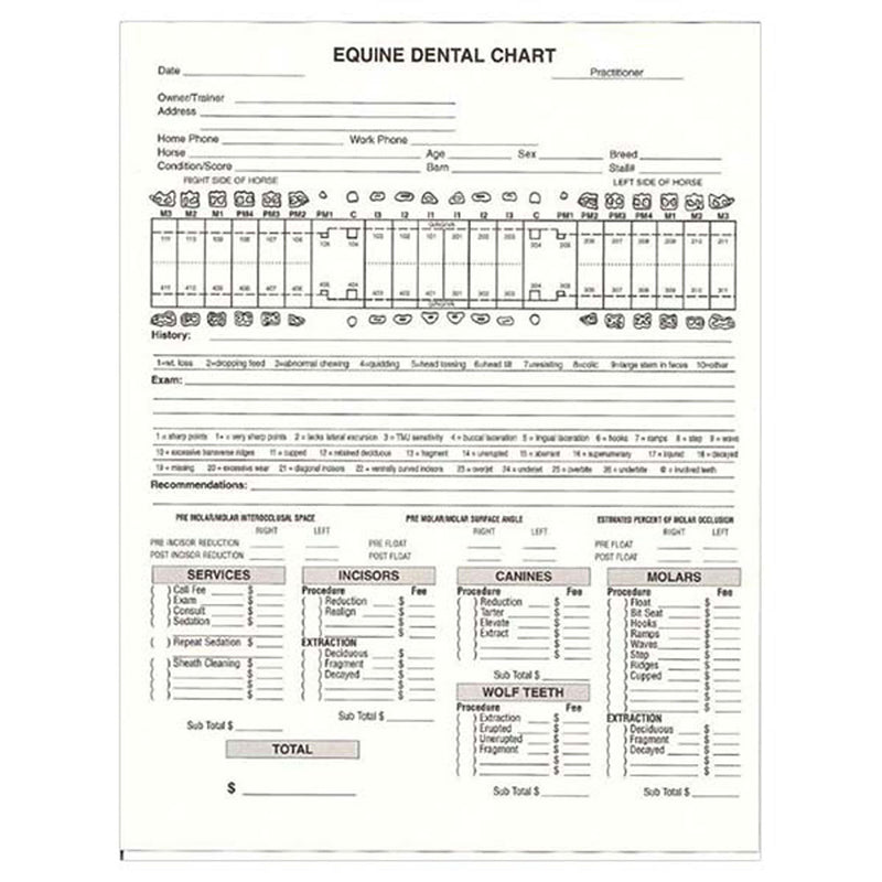 General Dental Invoice / Chart ( Pack of 50 )