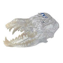 iM3 Canine Skull Model - Clear