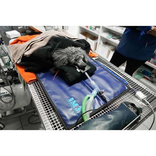 iM3 Dental X-Ray Mat