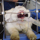 iM3 Table Top Mouth Gag (Rodent/Rabbit)