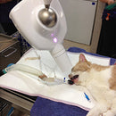 Shop online for the iM3 Revolution 4DC Dental X-Ray Generator, designed for digital X-Ray imaging and crafted with a focus on quality, health, and safety.