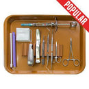 Shop online at Serona.ca for the veterinary dental Zirc B-Lock Flat Tray, available for purchase in a variety of colours. Dimensions: 13-3/8" x 9-5/8" x 7/8".