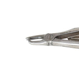 Veterinary dental Cislak EX-28 Tartar/Extraction Forceps (economy version), made from stainless steel.