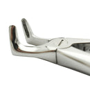 iM3 Small breed Right Angle Forceps