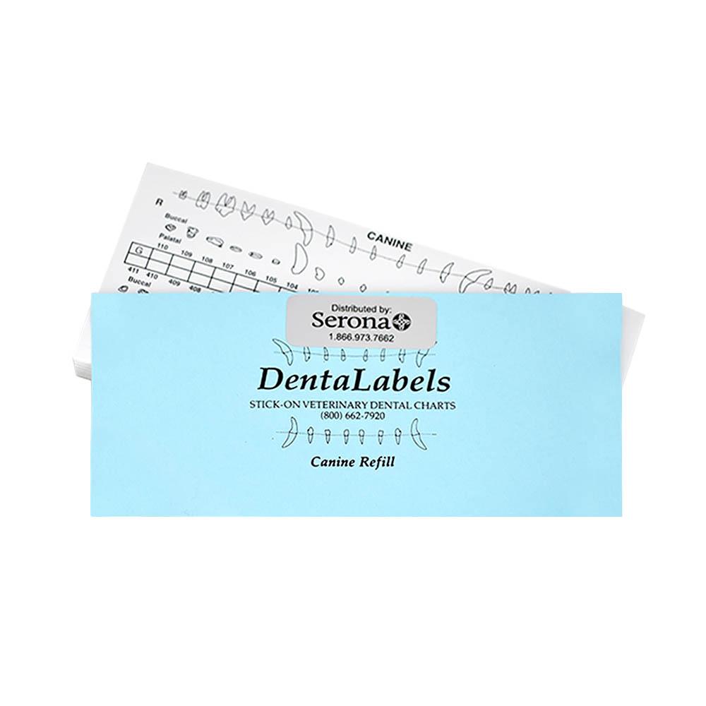 Canine Dental Chart
