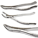 Cislak #151 / #151SK Cryer Forceps