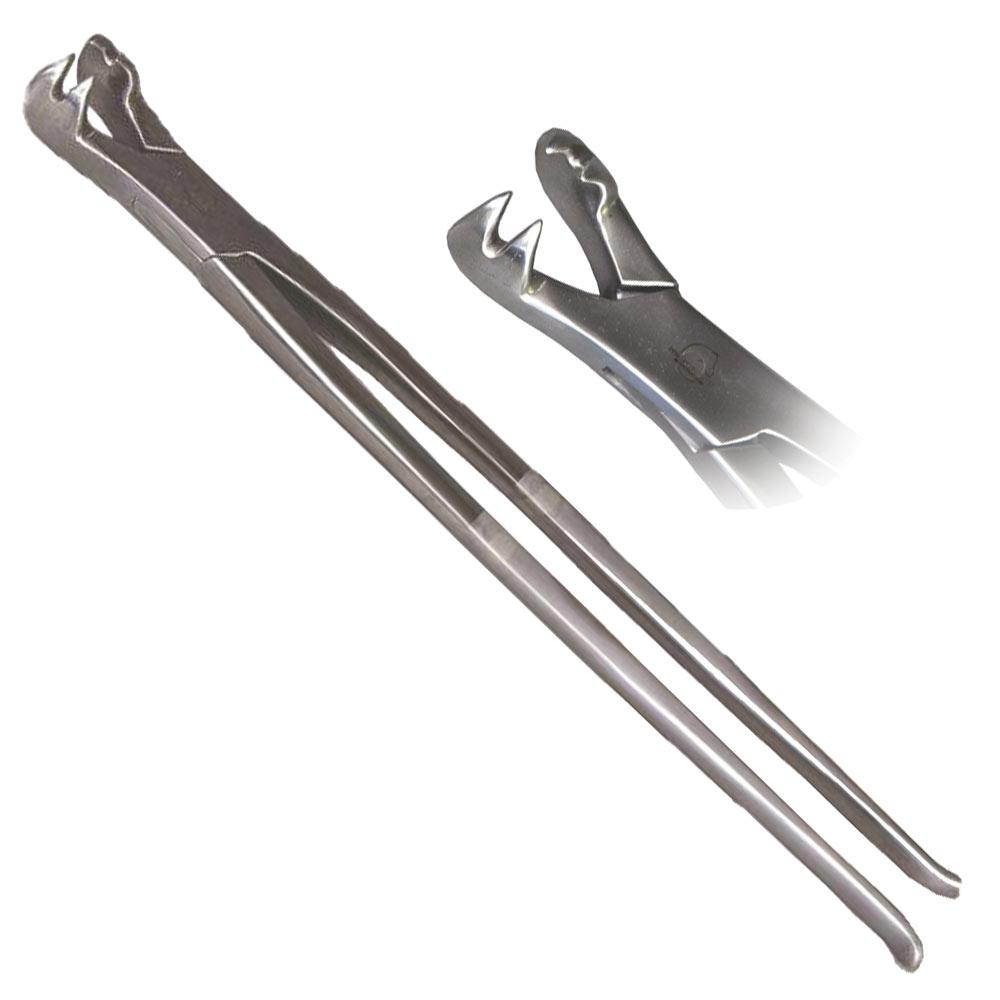 Pinza Molare Per Cavalli – Strumento Veterinario S.S-V0032, 20 Cm, In Acciaio, Pakistan
