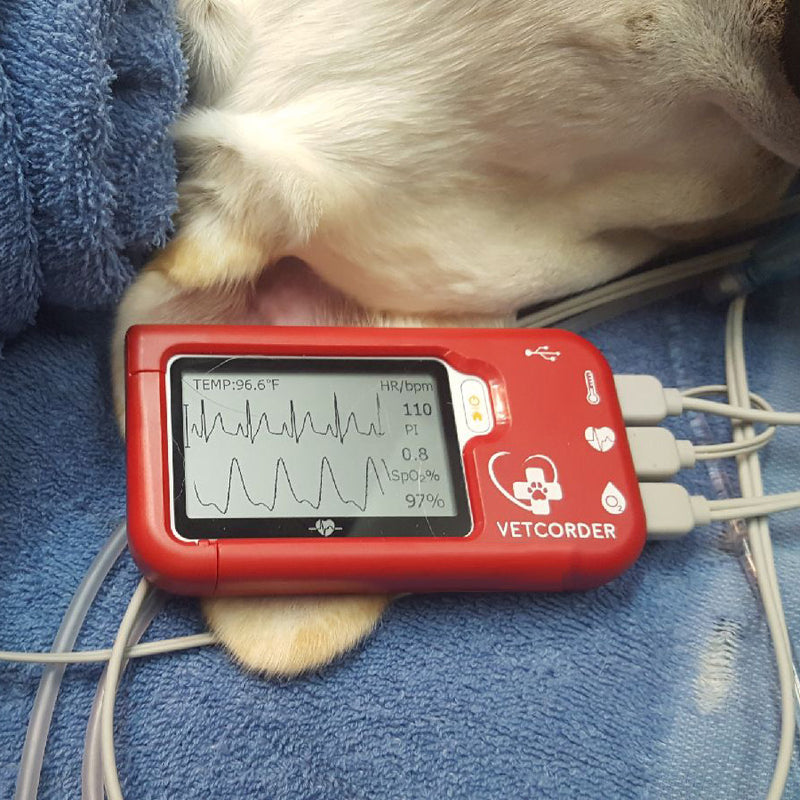 Veterinary Loop Recorder Vetcorder Pro Portable Monitor
