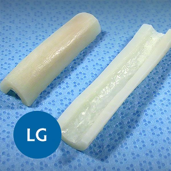 Veterinary dental VTS Frozen Canine Cortical Struts, which are longitudinal sections of cortical bone from canine tibia, radius, or femur.