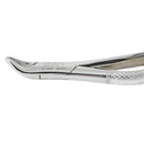 Cislak #151 / #151SK Cryer Forceps