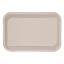 Shop online at Serona.ca for the veterinary dental Zirc Mini Antimicrobial Flat Tray, available in a variety of colours. Dimensions: 9-3/8" x 6-3/8" x 7/8".