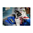 iM3 Ergo Perio 5 Piece Set